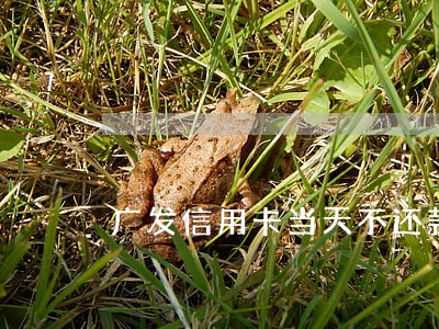 广发信用卡当天不还款逾期么