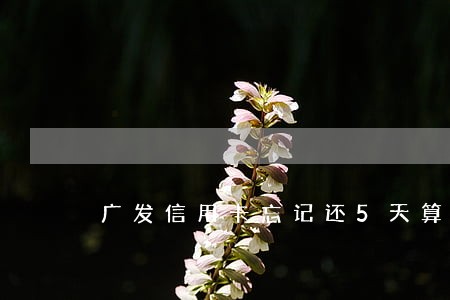 广发信用卡忘记还5天算逾期吗 广发信用卡忘记还5天算逾期吗