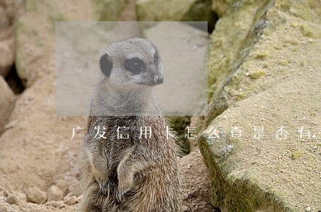 广发信用卡怎么查是否有逾期 广发信用卡怎么查是否有逾期