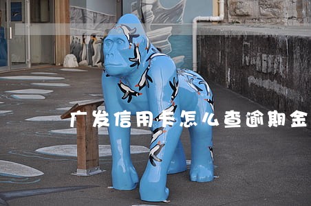 广发信用卡怎么查逾期金额 广发信用卡怎么查逾期金额