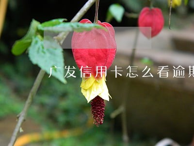 广发信用卡怎么看逾期 广发信用卡怎么看逾期