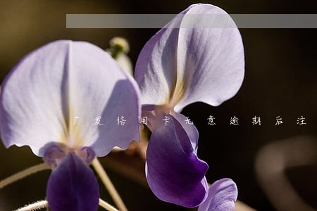 广发信用卡无意逾期后注销