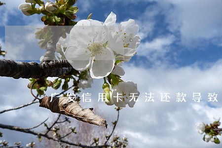 广发信用卡无法还款导致逾期 广发信用卡无法还款导致逾期