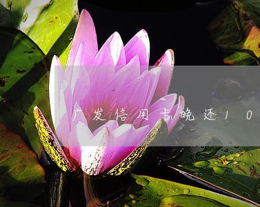 广发信用卡晚还10天逾期吗 广发信用卡晚还10天逾期吗
