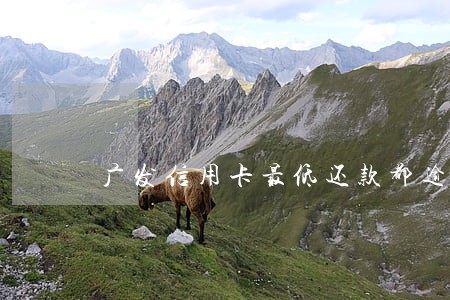 广发信用卡最低还款都逾期了 广发信用卡最低还款都逾期了