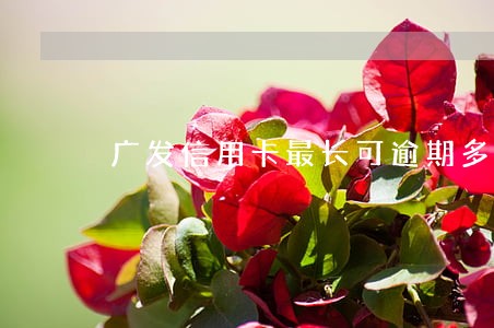 广发信用卡最长可逾期多久 广发信用卡最长可逾期多久