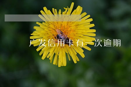广发信用卡有一次逾期 广发信用卡有一次逾期