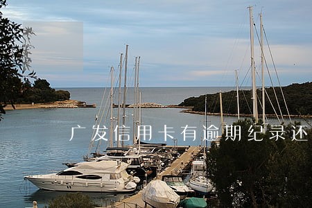 广发信用卡有逾期纪录还齐销卡