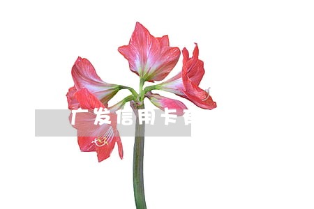 广发信用卡有逾期能下卡吗 广发信用卡有逾期能下卡吗