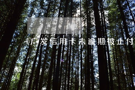 广发信用卡未逾期被止付 广发信用卡未逾期被止付