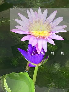广发信用卡欠2千逾期上门 广发信用卡欠2千逾期上门