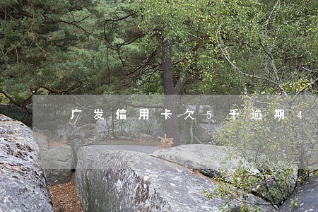 广发信用卡欠5千逾期4个月 广发信用卡欠5千逾期4个月