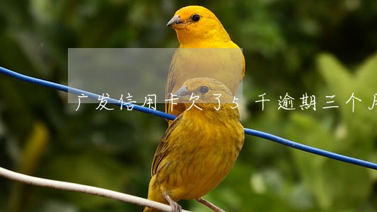 广发信用卡欠了5千逾期三个月 广发信用卡欠了5千逾期三个月