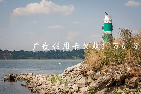 广发信用卡欠款1万6逾期怎么办