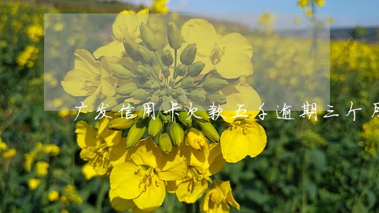 广发信用卡欠款五千逾期三个月 广发信用卡欠款五千逾期三个月