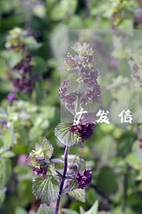 广发信用卡没逾期说要还全款 广发信用卡没逾期说要还全款