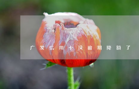 广发信用卡没逾期降额了 广发信用卡没逾期降额了