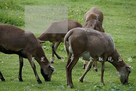广发信用卡现金取现后逾期了