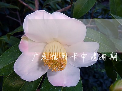 广发信用卡申请逾期 广发信用卡申请逾期