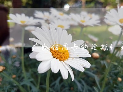 广发信用卡的逾期4天