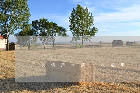 广发信用卡第一次逾期 广发信用卡第一次逾期