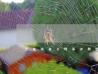 广发信用卡财务分期逾期 广发信用卡财务分期逾期