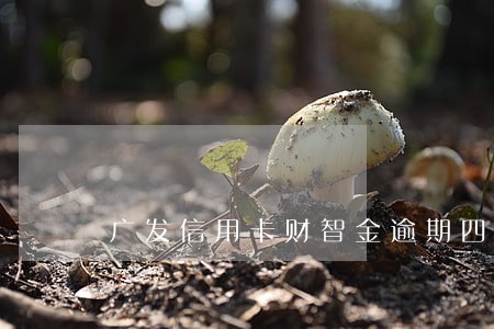 广发信用卡财智金逾期四个月 广发信用卡财智金逾期四个月