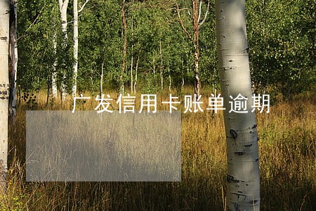 广发信用卡账单逾期 广发信用卡账单逾期