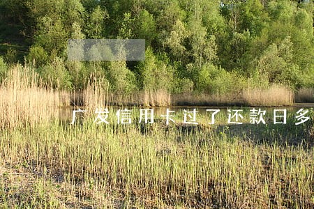 广发信用卡过了还款日多久算逾期 广发信用卡过了还款日多久算逾期