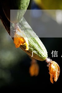 广发信用卡还了最低提示逾期