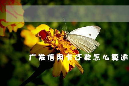 广发信用卡还款怎么算逾期 广发信用卡还款怎么算逾期