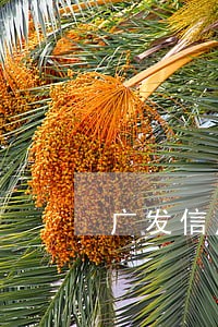 广发信用卡还款逾期2天有事吗 广发信用卡还款逾期2天有事吗