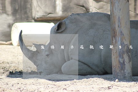 广发信用卡还款逾期5天 广发信用卡还款逾期5天