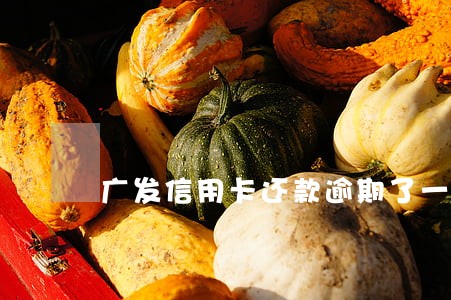 广发信用卡还款逾期了一天 广发信用卡还款逾期了一天