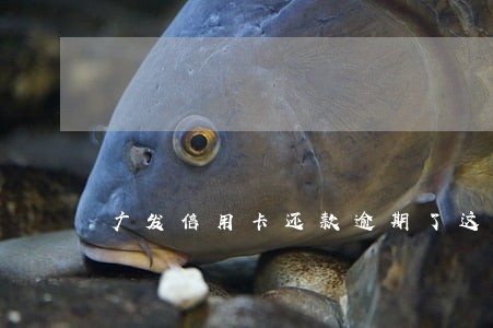 广发信用卡还款逾期了这么消 广发信用卡还款逾期了这么消