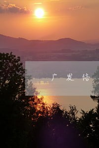 广发信用卡还款逾期二天