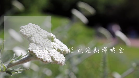 广发信用卡还款逾期滞纳金