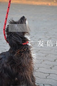 广发信用卡连续逾期几个月