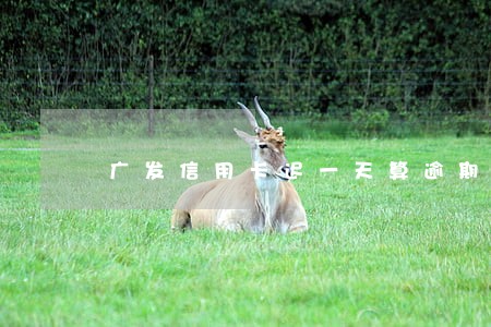 广发信用卡迟一天算逾期吗 广发信用卡迟一天算逾期吗