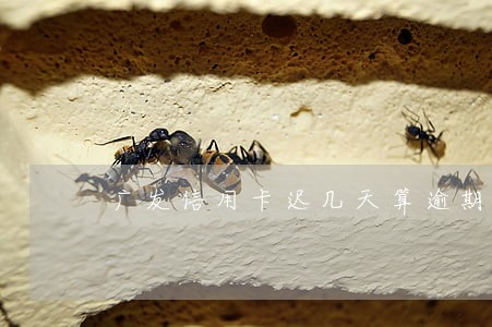 广发信用卡迟几天算逾期吗 广发信用卡迟几天算逾期吗