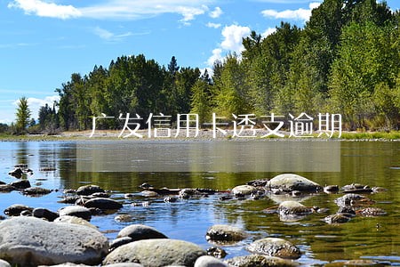 广发信用卡透支逾期