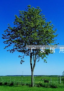 广发信用卡通常几天未还为逾期 广发信用卡通常几天未还为逾期