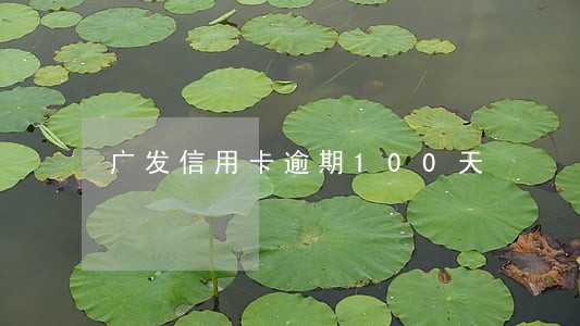 广发信用卡逾期100天