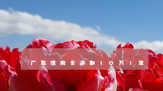 广发信用卡逾期10万1年