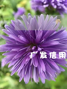 广发信用卡逾期10天利息多少 广发信用卡逾期10天利息多少