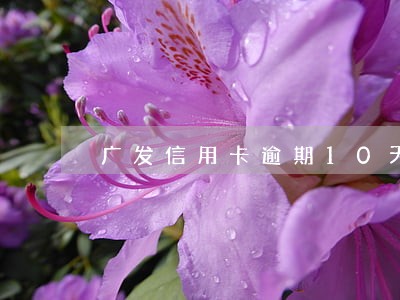 广发信用卡逾期10天有影响吗 广发信用卡逾期10天有影响吗