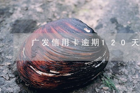 广发信用卡逾期120天