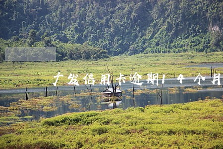 广发信用卡逾期14个月 广发信用卡逾期14个月