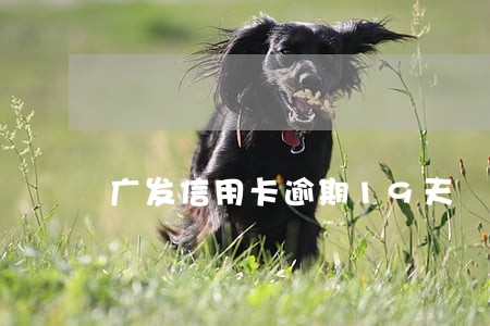 广发信用卡逾期19天
