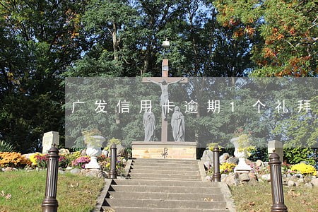 广发信用卡逾期1个礼拜 广发信用卡逾期1个礼拜